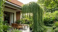 15 Model Teras Rumah yang Sejuk Hanya dengan Tanaman Murah, Nyaman dan Asri
