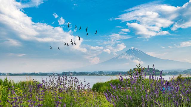 Fujikawaguchiko-machi