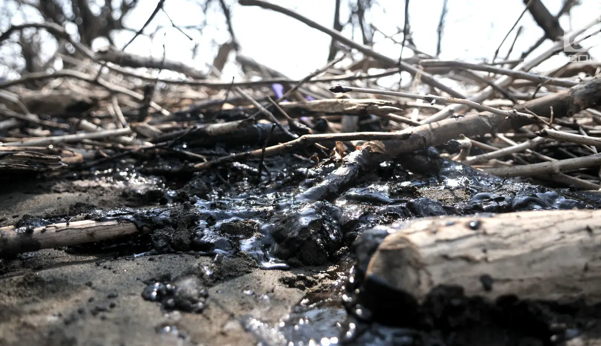 Oil spill yang telah membeku di sekitar tambak penangkap udang di perairan Muara Beting, Muara Gembong, Bekasi, Jawa Barat, Minggu (28/7/2019). Pencemaran minyak ini menyebabkan hasil tangkapan nelayan setempat menurun dan merusak hutan bakau fi sekitar Muara Beting. (merdeka.com/Iqbal S. Nugroho)