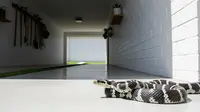 Ada Ular di Garasi Mini atau Carport Sempit, Ini Jenis dan Cara Menyingkirkan