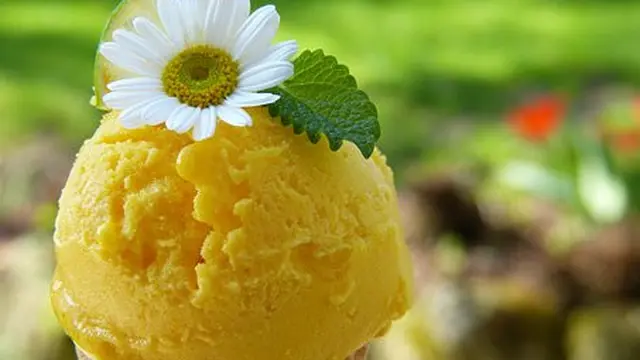 cara membuat ice cream