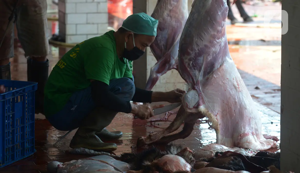 <p>Panitia memakai masker saat memotong daging kurban di RPH Masjid Istiqlal, Jakarta, Sabtu (1/8/2020). Pemotongan hewan kurban yang terdiri dari 20 ekor sapi dan 15 ekor kambing dilakukan dengan menggunakan protokol kesehatan untuk mengantisipasi penyebaran Covid-19. (merdeka.com/Imam Buhori)</p>