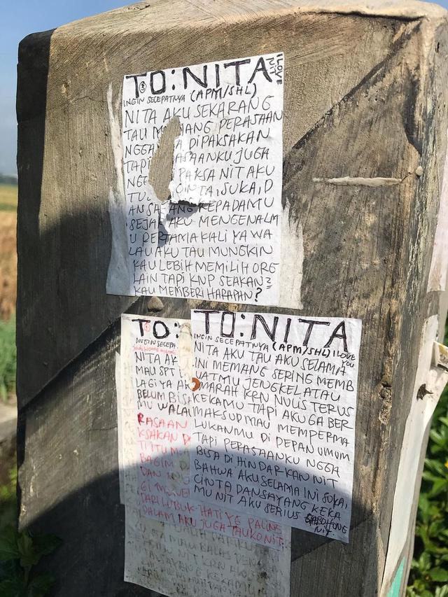 Kelewat Bucin, Pria Ini Tulis Surat Cinta yang Ditempel di Dinding Dekat Sawah