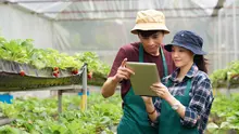 Ilustrasi agribisnis. (Image by pressfoto on Freepik)