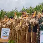 Panen perdana jagung hibrida R7 atau jagung Raja di Kawasan Batu Korsi, Desa Citaman, Kecamatan Nagreg, Kabupaten Bandung. (Liputan6.com/Jayadi Supriadin)