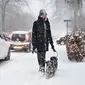 Wanita menuntun anjingnya melewati salju tebal di Aalborg, Denmark, Selasa (27/2). Cuaca dingin di Siberia yang dijuluki "The Beast from the East" membuat suhu di sebagian Eropa menurun. (AFP PHOTO/Scanpix DAN Ritzau SCANPIX/Henning Bagger/Denmark OUT)