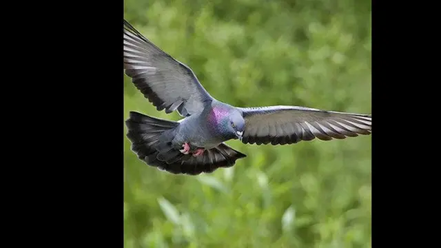 Foto: copyright mmn.com