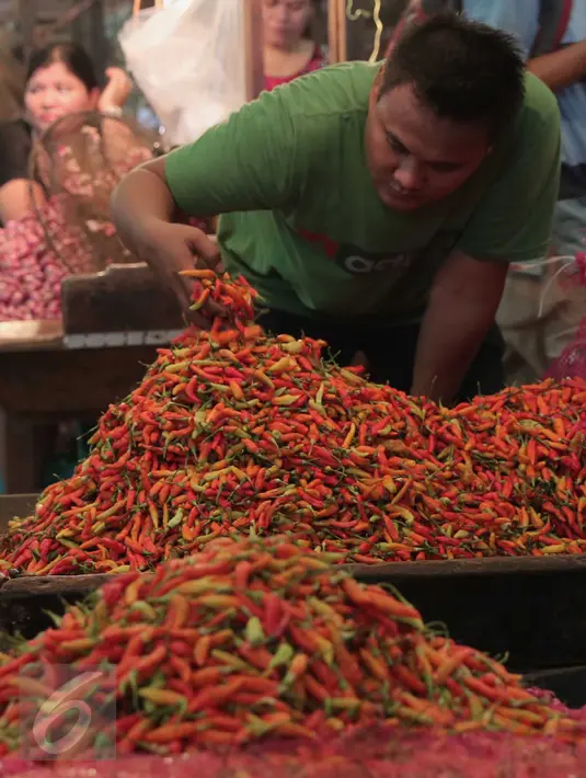 Pedagang tengah menata cabai dagangannya di Pasar Induk Kramat Jati, Jakarta, Selasa (24/11). Harga cabai merah keriting kini dipatok Rp 25 ribu per kg, sementara cabai merah rawit dipatok Rp 28 ribu per kg. (Liputan6.com/Angga Yuniar)