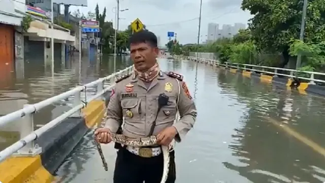 polisi