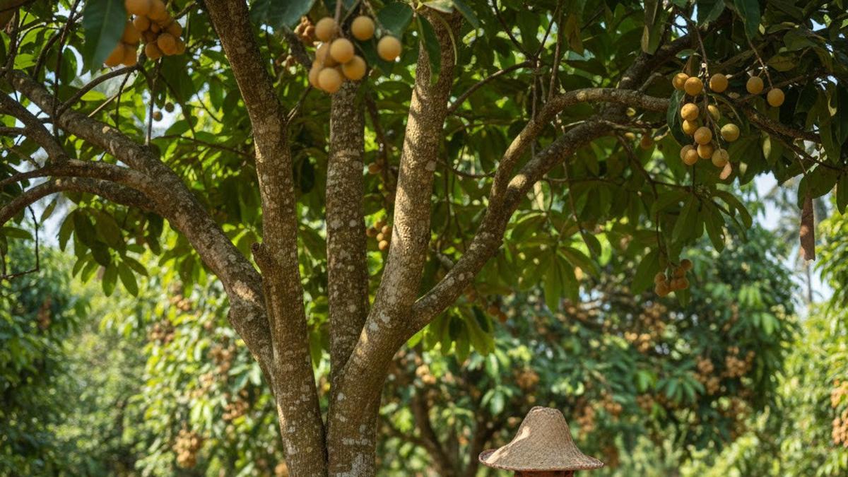 9 Cara Alami Merangsang Pohon Buah Tanpa Bahan Kimia, Cepat Berbuah Lebat
