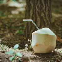 Segudang manfaat air kelapa. (pexels.com/@sonic-230970541)