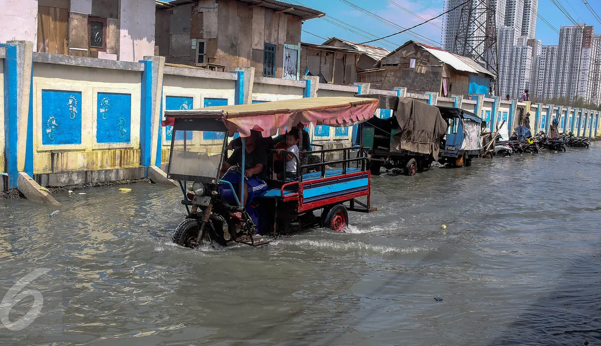 Kendaraan melintas di jalan yang tergenang air di Muara Angke, Jakarta, Senin (2/1). Rencananya Pemprov DKI akan membuat tanggul penahan air rob di kawasan tersebut. (Liputan6.com/Faizal Fanani)