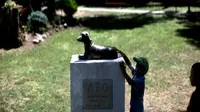 Berkat upayanya menyelamatkan gadis kecil dari serangan banteng, anjing pemberani ini dimuliakan lewat patung memorial.