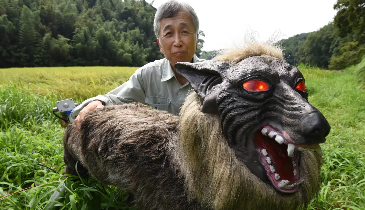 Chikao Umezawa, Ketua Asosiasi Koperasi Pertanian JA Kisarazu-shi, menunjukkan robot Super Monster Wolf di Kisarazu, prefektur Chiba, Jepang, 25 Agustus 2017. Robot serigala ini berhasil dikembangkan oleh Hokkaido Ohta Seiki. (Toru YAMANAKA/AFP)