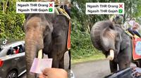 Aksi gajah terima THR dari pengunjung (Sumber: Instagram/ayodolan)
