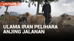 Sayed Mahdi Tabatabaei, Ulama Iran yang Penuh Kontroversi