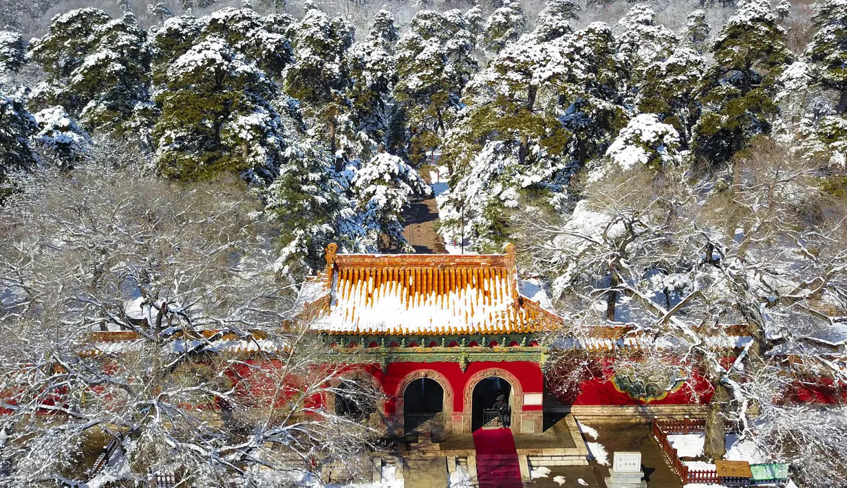 Gerbang Taman Beiling sebagian berwarna putih karena diselimuti salju di Shenyang di provinsi Liaoning, China (15/3). Salju tebal tersebut membuat pemandangan di taman itu indah, karena perpaduan atap yang berwarna emas dengan putih salju. (AFP)