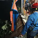 7 Kecamatan di Jakarta Masuk Zona Rawan Longsor, Cek Daftarnya