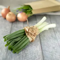 Ilustrasi daun bawang/credit: unsplash.com/Larissa