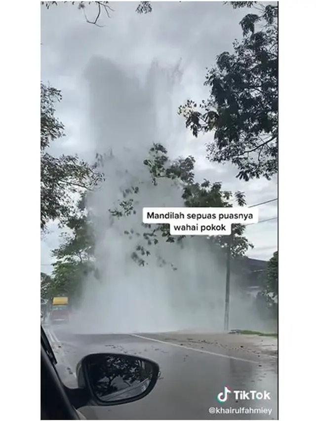 Dikira Kejadian Alam, Pria Ini Rekam Penampakan Pohon Bak Diguyur Air dari Langit