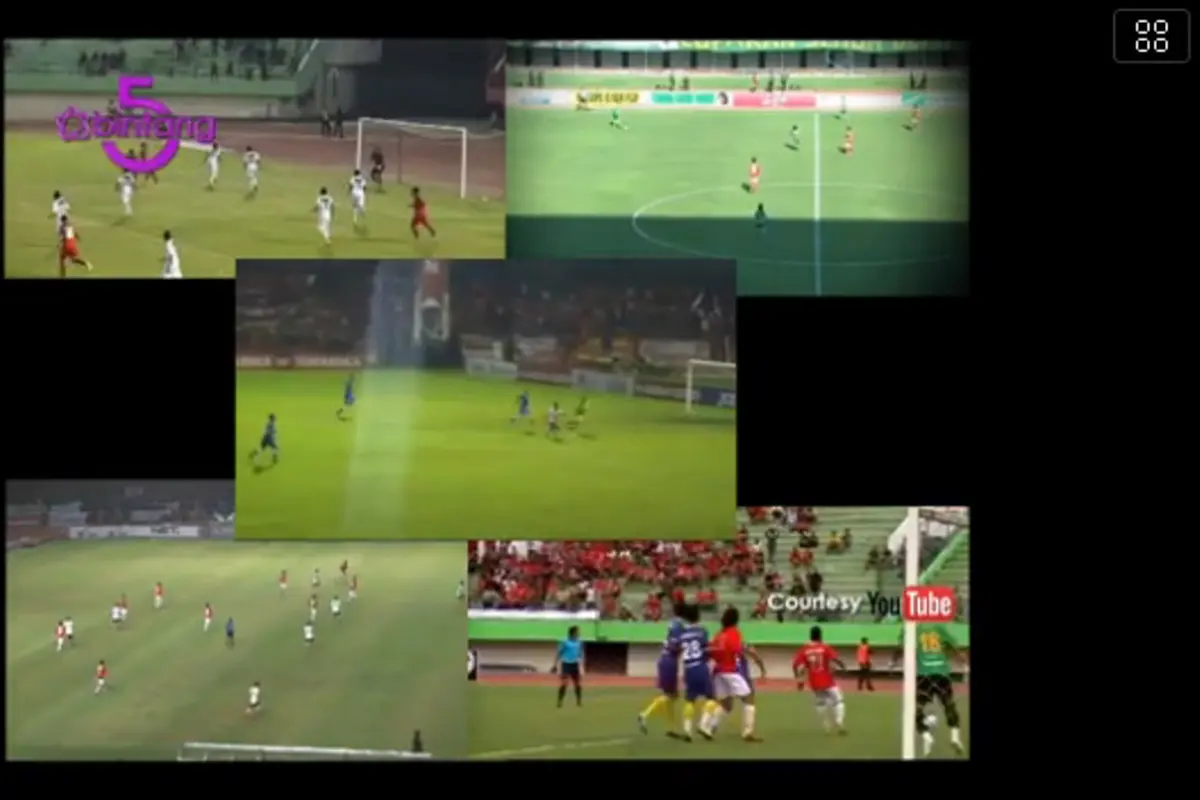 Bintang 5: Sepak Bola Indonesia, Pulau Terbanyak, Hewan Fenomenal