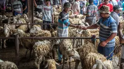 : Domba-domba dipajang untuk dijual di pasar ternak menjelang hari raya Idul Adha, di Ambarawa, Jawa Tengah pada Sabtu 16 Mei 2026. (DEVI RAHMAN/AFP)