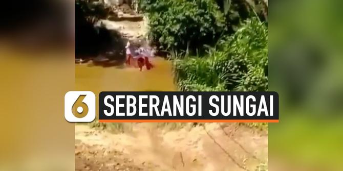 VIDEO: Kata Pemda Kampar Soal Bocah Bergelantungan Seberangi Sungai