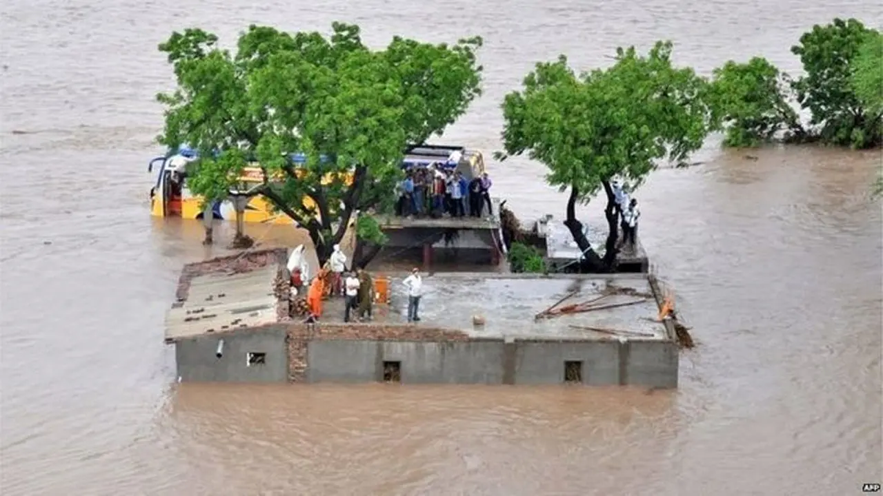 India Kebanjiran, Warga Khawatir Singa Keluar Habitat 