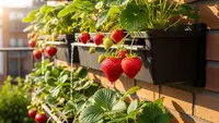 Cara Membuat Kebun Buah Mini di Samping Rumah yang Sempit untuk Pemula