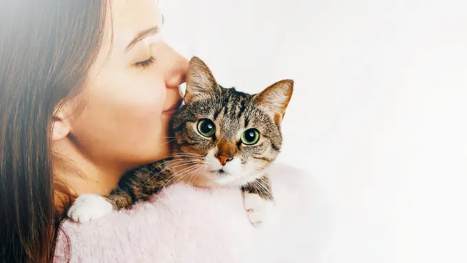 Pindah Rumah Bikin Kucing Rentan Stres, Bantu Adaptasinya dengan 4 Cara Jitu