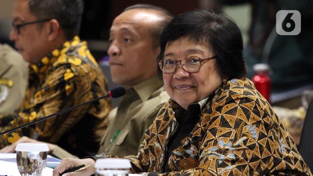 Menteri LHK Bahas Program Kerja Bersama Komite II DPD