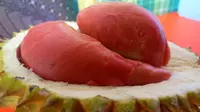 Durian berwarna merah? Pernahkah Anda mencicipinya?