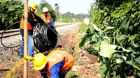 Penggelaran fiber optik yang dilakukan di sepanjang rel kereta api oleh Weave anak perusahaan Surge. (Ist.)