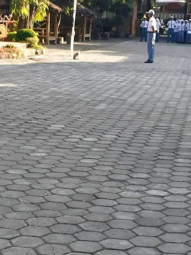 6 Momen Kocak saat Upacara Bendera Ini Bikin Rindu Sekolah, Penuh Kenangan