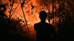 Petugas pemadam kebakaran memadamkan api saat kebakaran hutan dan lahan (karhutla) di Pekanbaru, Riau, Jumat (13/9/2019). Karhutla menyebabkan kualitas udara pada level berbahaya. (ADEK BERRY/AFP)