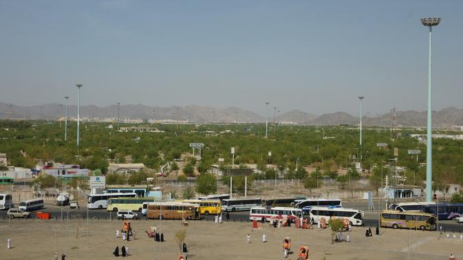 Cerita di Balik Pohon Soekarno yang Tumbuh Subur di Padang 