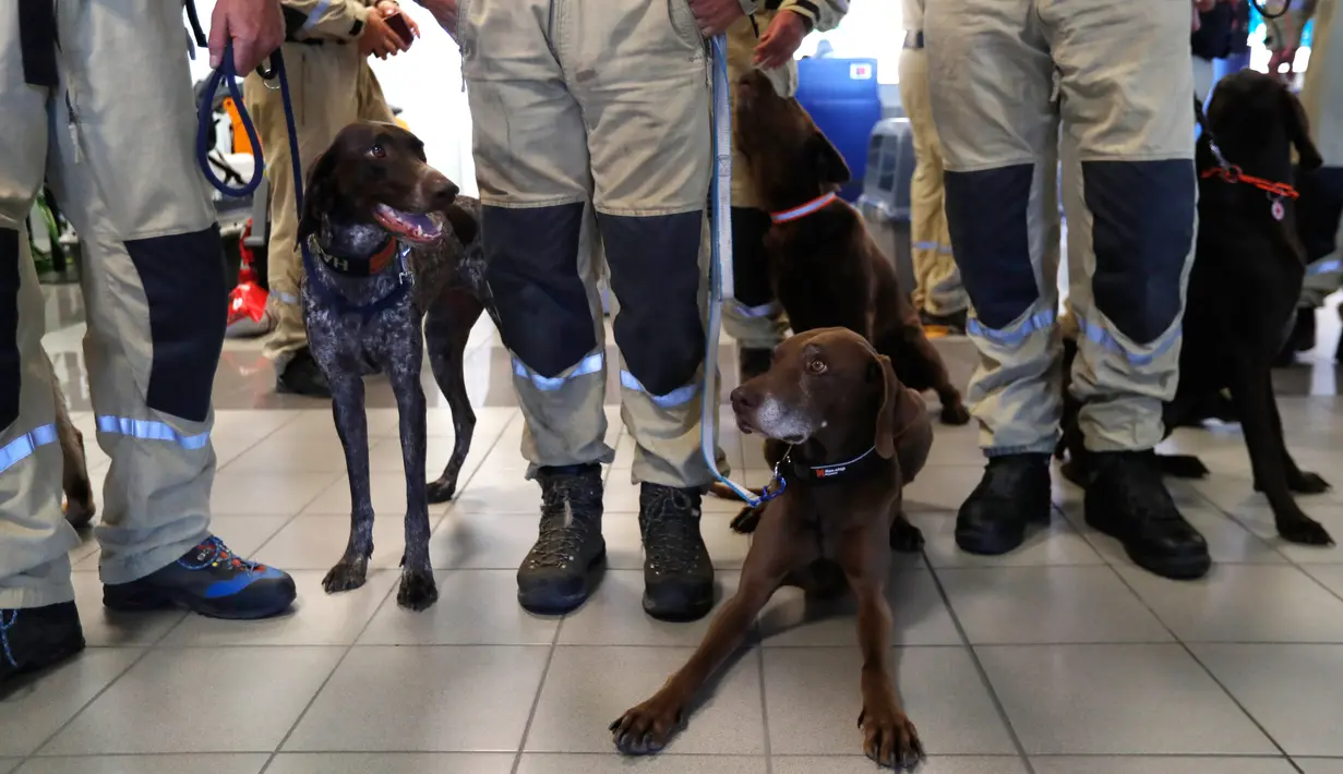 Anggota tim SAR Ceko beserta anjing pelacak tiba di bandara Vaclav Havel di Praha, Rabu (5/8/2020). Republik Ceko mengirimkan sekitar 37 personel dan lima ekor anjing pelacak untuk membantu pencarian korban ledakan dahsyat di Beirut, Lebanon. (AP Photo/Petr David Josek)