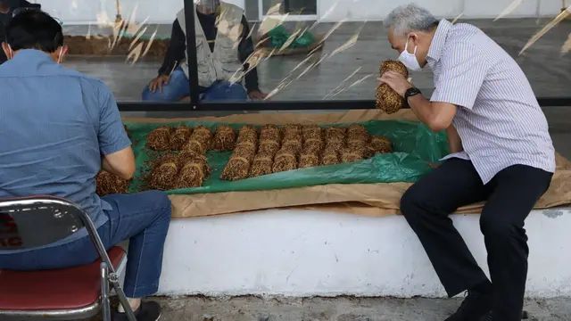 Gubernur Jateng Ganjar Pranowo mengecek kondisi tembakau hasil panen pertanian di gudang rokok Temanggung, Selasa (25/8/2020). (Foto : Liputan6.com/Felek Wahyu)