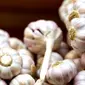 Bawang putih membuat aroma tubuh pria lebih tercium wangi