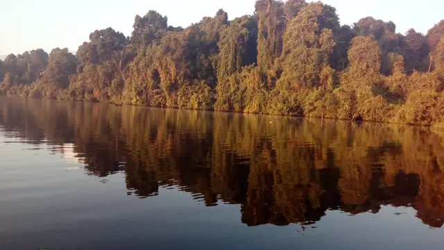 Situ lengkong panjalu yang rindang