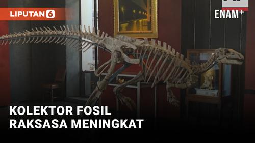 VIDEO: Minat Kolektor Fosil Raksasa Meningkat, Dinosaurus Usia 150 Juta Tahun akan DIlelang