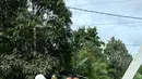 Kepala Dinas Perhubungan (Kadishub) Paser Kalimantan Timur, Inayatullah, Kamis (16/1/2025), mengatakan bahwa pihaknya masih belum bisa memastikan penyebab pasti jembatan tersebut bisa roboh. (Dokumentasi Dinas Perhubungan Paser)