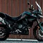 Triumph Tiger 900 Bond Edition. (Triumph)