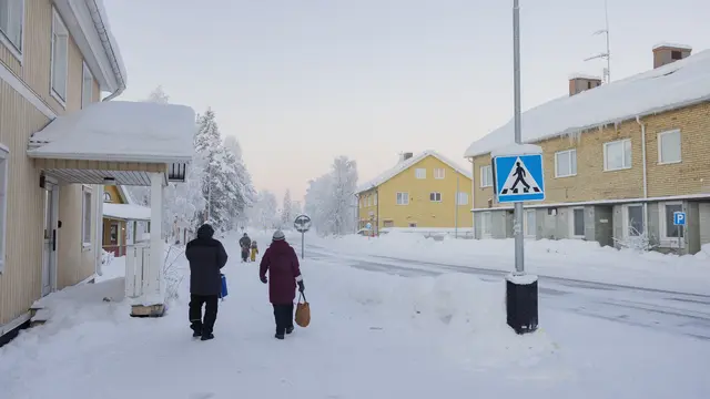 Swedia
