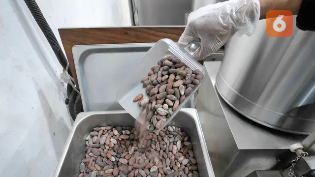 Pipiltin Cocoa atau Ilustrasi Cokelat