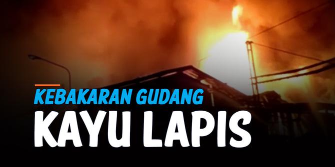 VIDEO: Kebakaran Pabrik Kayu Lapis, Polisi Masih Menyelidiki Asal Api
