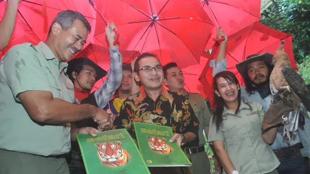 Elang Jawa