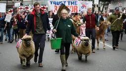 Peternak lokal membawa sapi dan domba dalam aksi protes yang digelar di Downing Street, pusat kota London, Inggris, Rabu (23/3). (LEON Neal/AFP)
