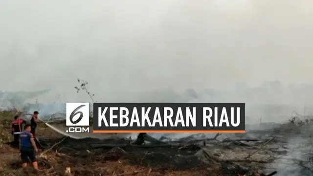 Kabut asap tebal hasil kebakaran hutan dan lahan di Riau membuat hampir 300.000 orang menderita sesak nafas. Hingga kini kualitas udara terus memburuk mencapai tingkat berbahaya.