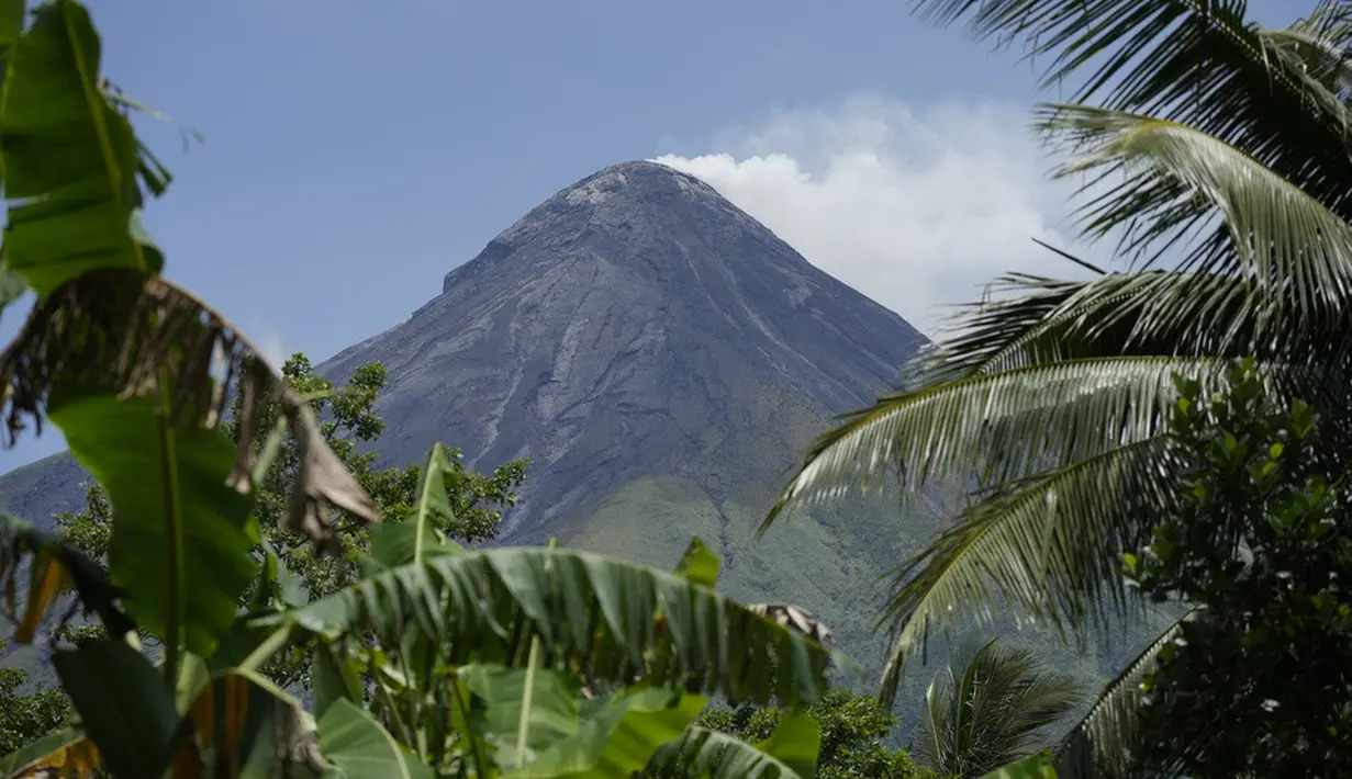 <p>Mayon merupakan satu di antara 24 gunung berapi yang aktif di Filipina. Gunung itu terakhir kali meletus pada 2018, mengakibatkan sekitar 90.000 orang terpaksa mengungsi. Erupsi sebelumnya pada 1993 menewaskan lebih dari 70 orang. (AP Photo/Aaron Favila)</p>